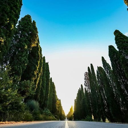 Relais Felciaino B&B Bolgheri Zewnętrze zdjęcie