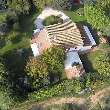 Relais Felciaino B&B Bolgheri Pokój zdjęcie