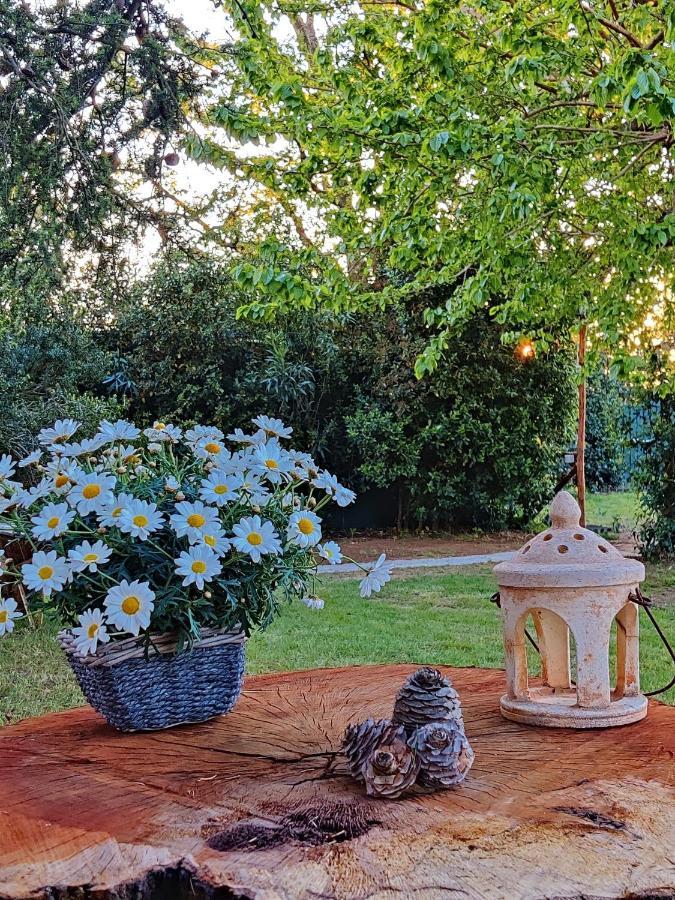 Relais Felciaino B&B Bolgheri Zewnętrze zdjęcie