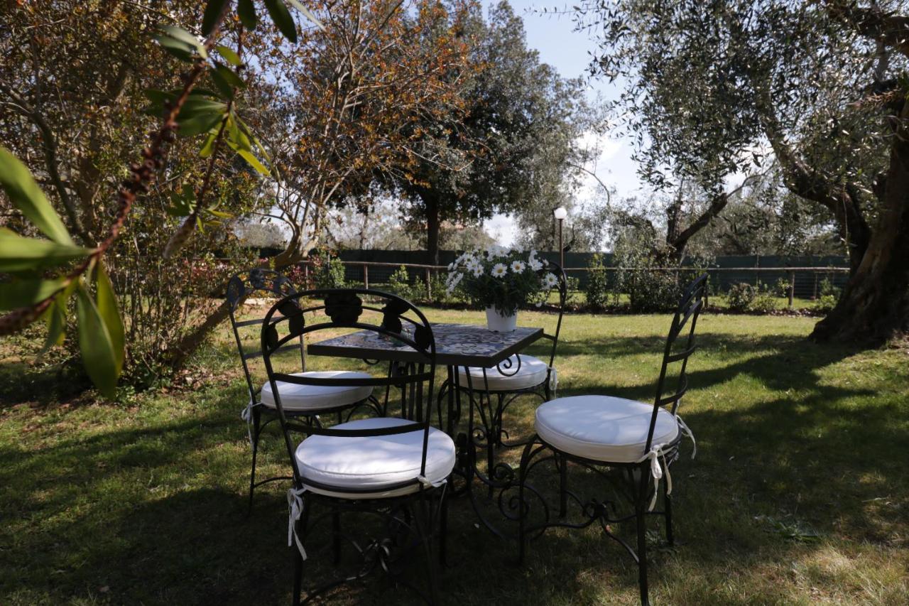 Relais Felciaino B&B Bolgheri Zewnętrze zdjęcie