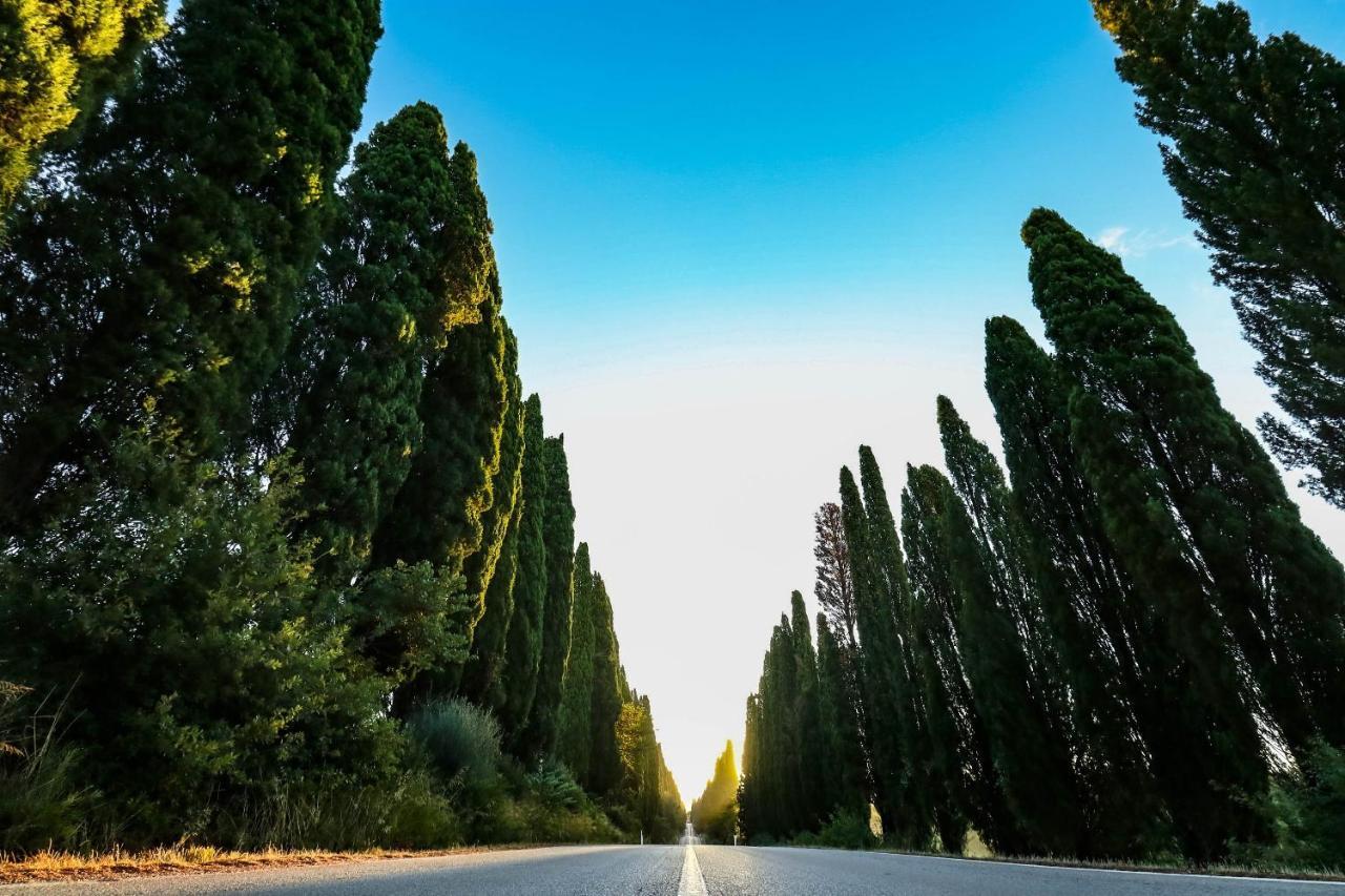 Relais Felciaino B&B Bolgheri Zewnętrze zdjęcie