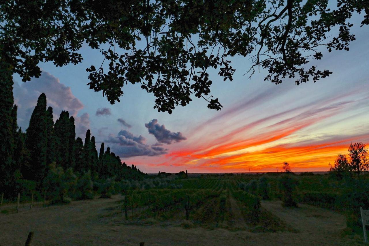 Relais Felciaino B&B Bolgheri Zewnętrze zdjęcie