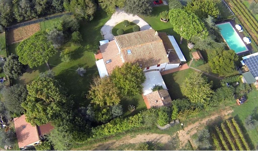 Relais Felciaino B&B Bolgheri Pokój zdjęcie