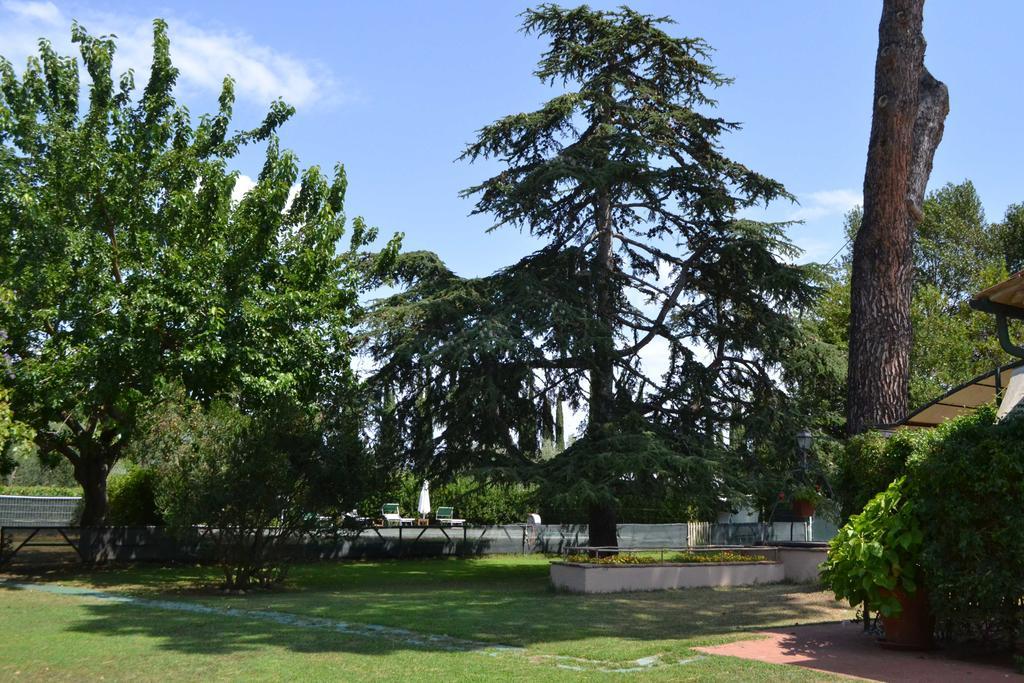 Relais Felciaino B&B Bolgheri Zewnętrze zdjęcie